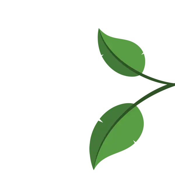 Hojas de la derecha | TAZO