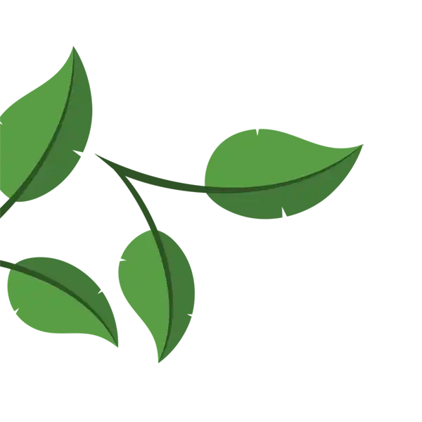 Hojas de la izquierda | TAZO